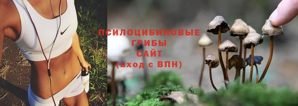винт Нягань