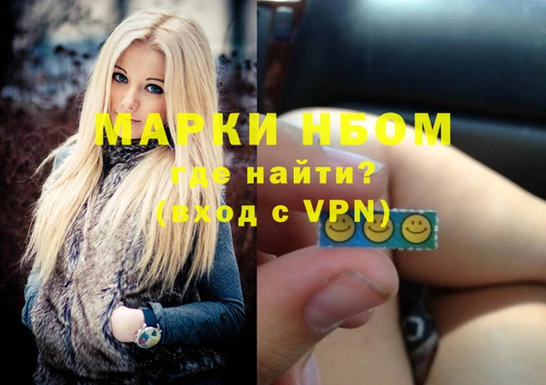 гашик Болотное