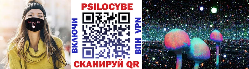 магазин продажи Тобольск Галлюциногенные грибы MAGIC MUSHROOMS