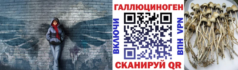 Псилоцибиновые грибы GOLDEN TEACHER Тобольск